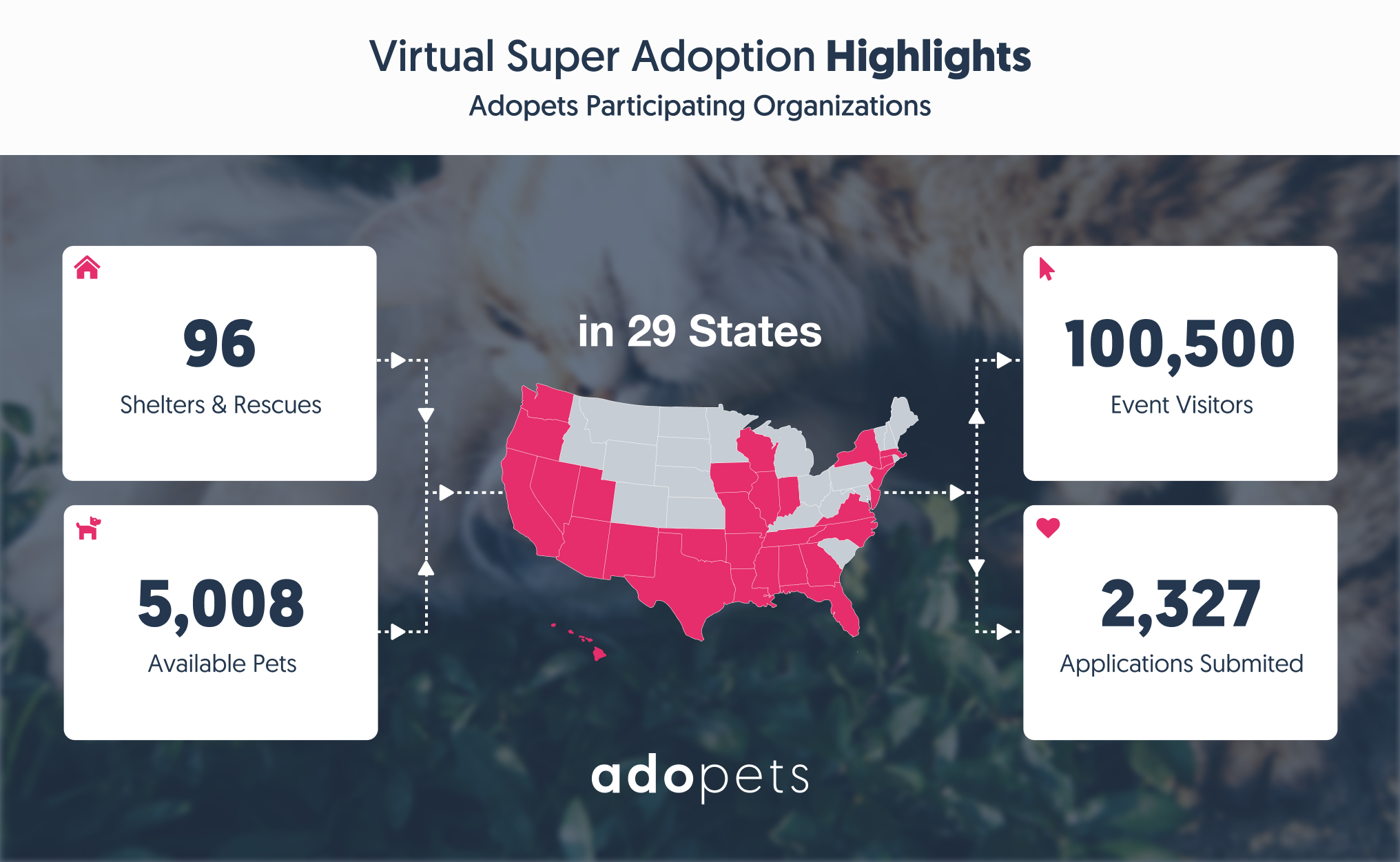 Infographic Best Friends Adoption